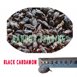 BLACK CARDAMOM